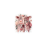Sticker - Ribcage